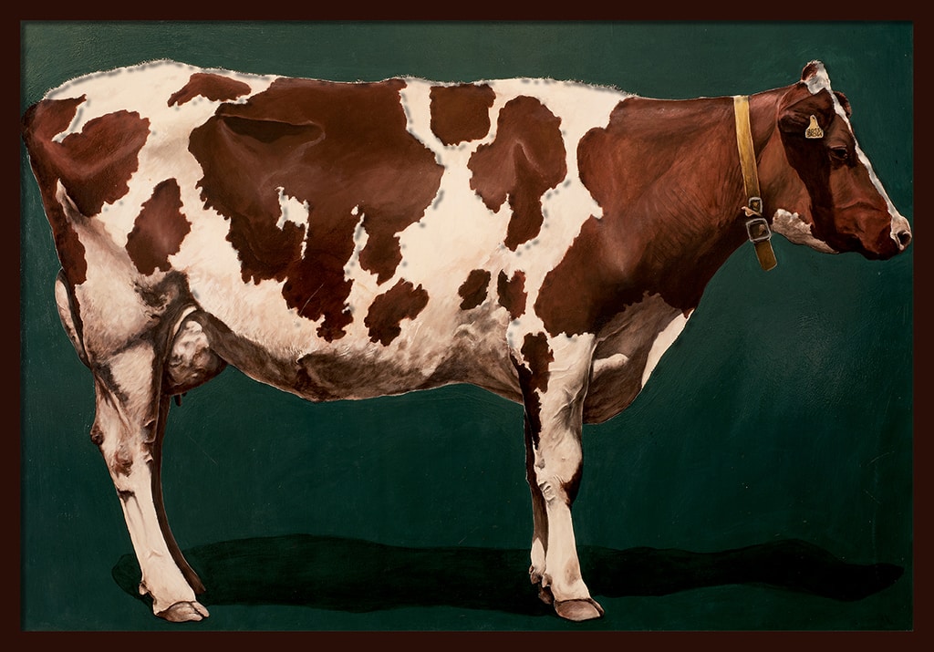 Sacha Schwarz - Oeuvres - Vaches - Icones : Vache 3